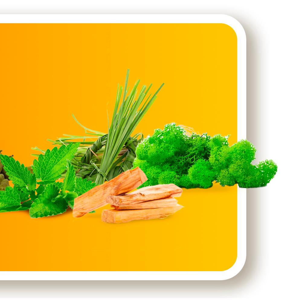 Mandarino Malandrino