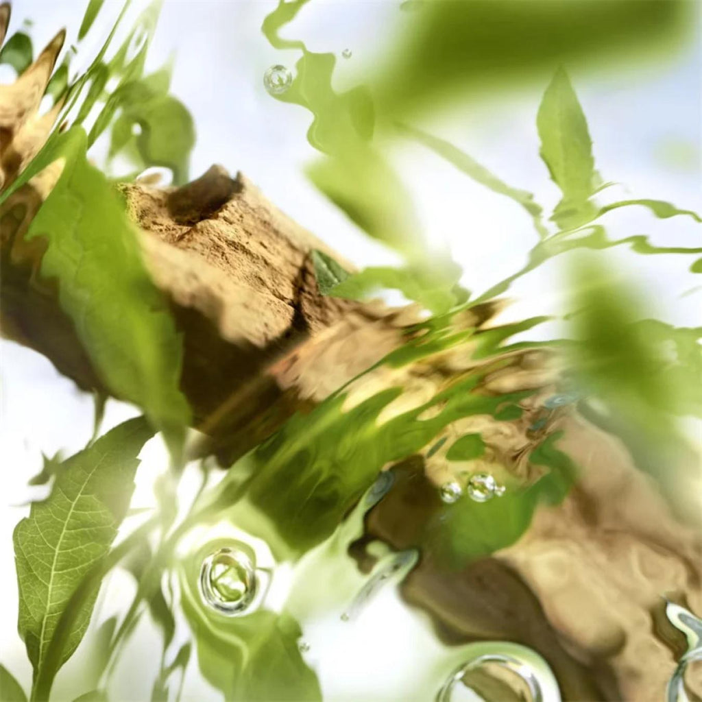 O De Lancome Off Now