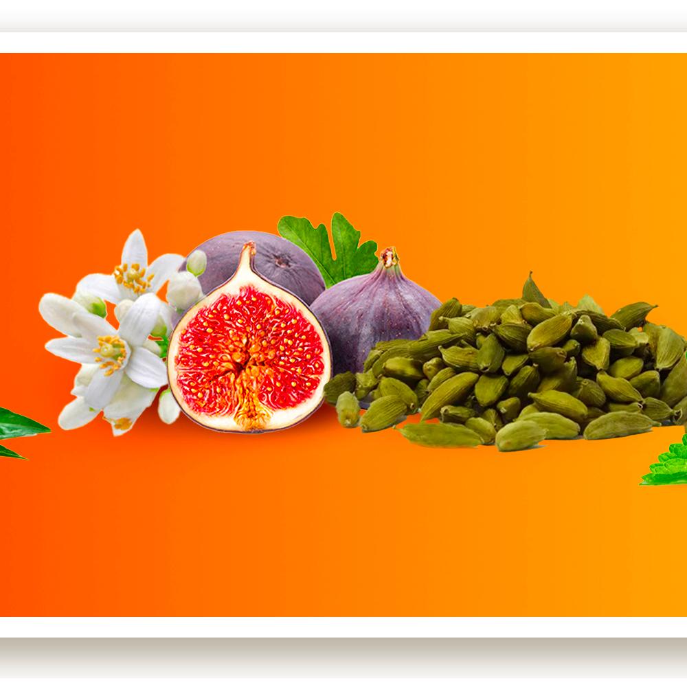 Mandarino Malandrino