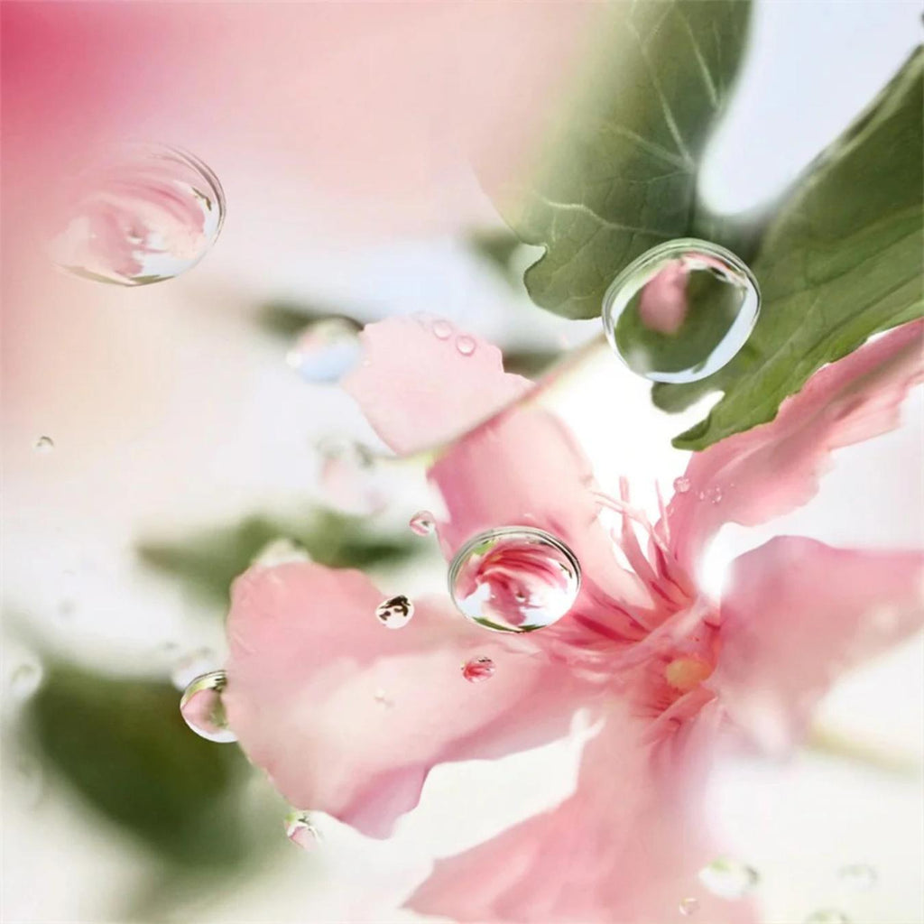 O De Lancome Over The Top