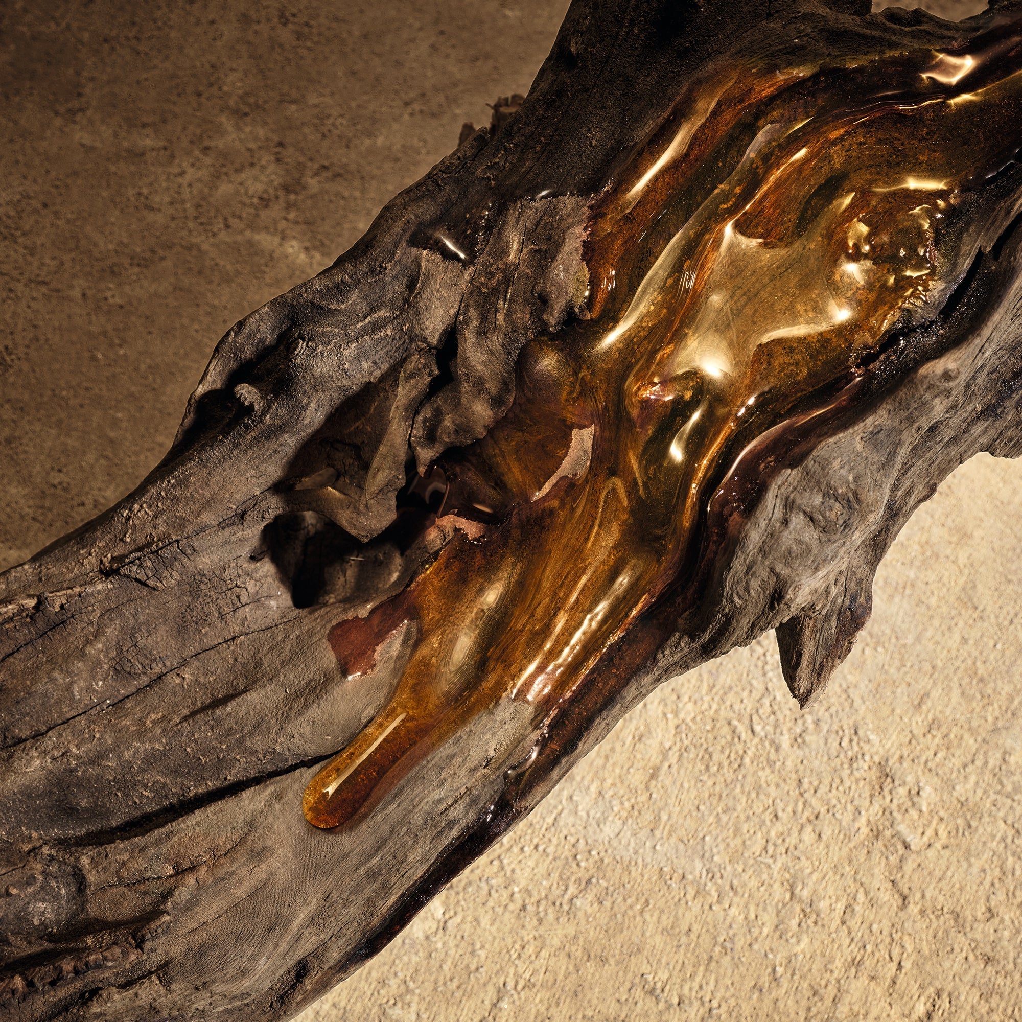 Devotion For Men Parfum