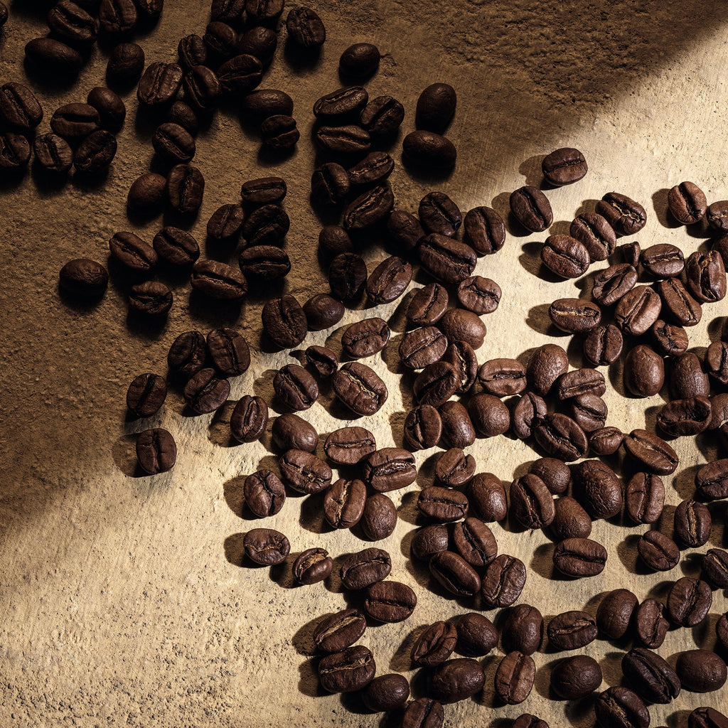 Devotion For Men Parfum